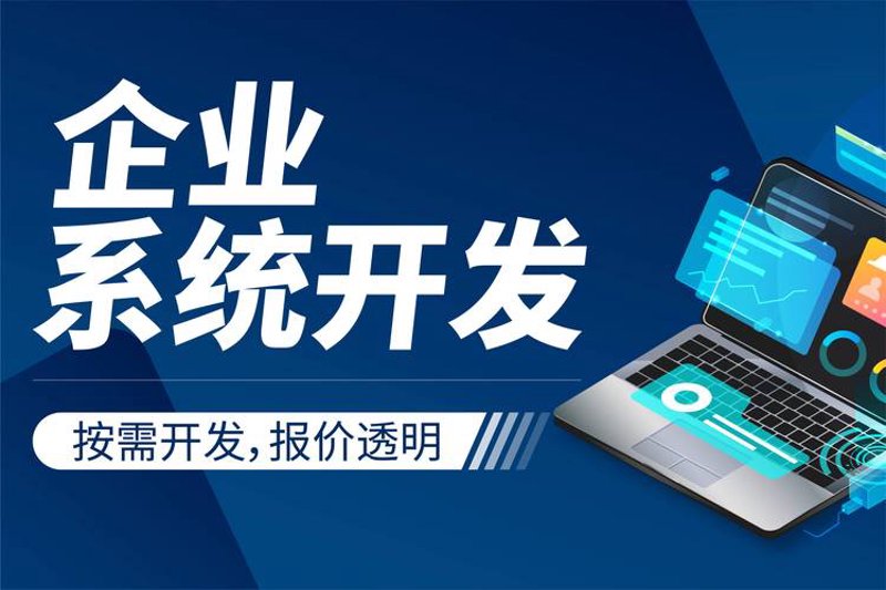 ERP系统定制：企业成长的助力器